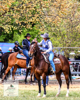 BOB2019_0573