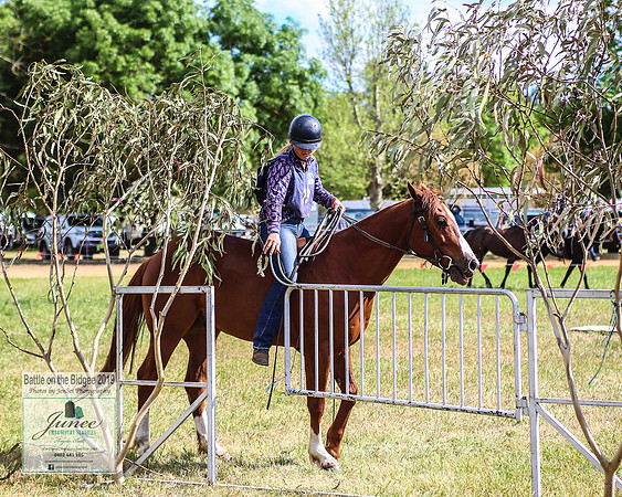 BOB2019_7131