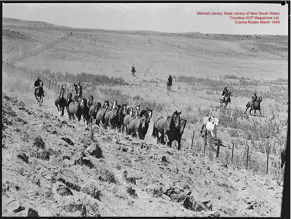 CoomaRodeo1946-42