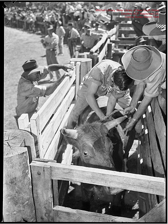 CoomaRodeo1946-23