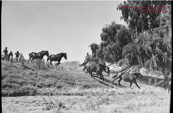 CoomaRodeo1946-44
