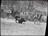 CoomaRodeo1946-8