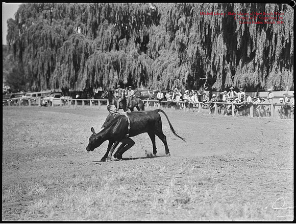 CoomaRodeo1946-27