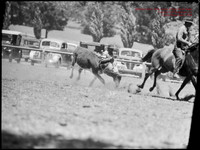CoomaRodeo1946-17