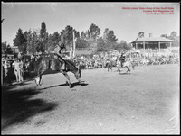 CoomaRodeo1946-15
