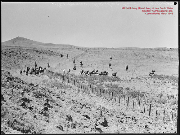 CoomaRodeo1946-29