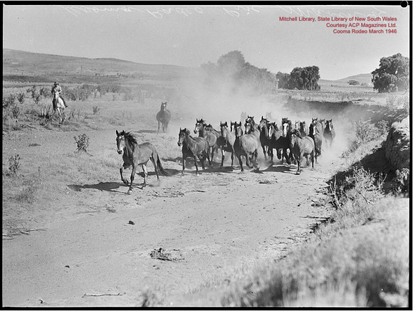 CoomaRodeo1946-39