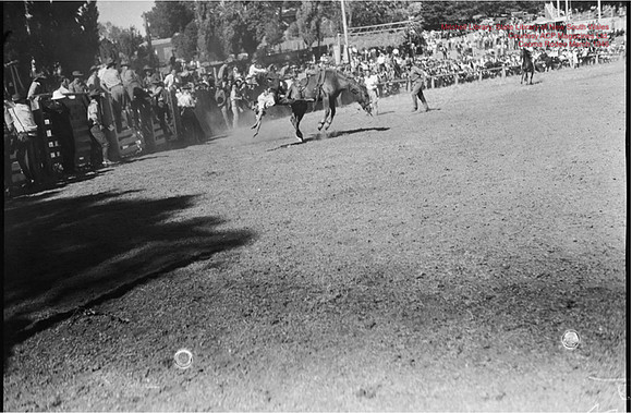 CoomaRodeo1946-45