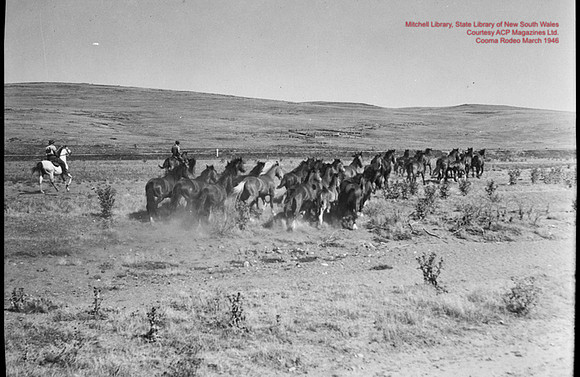 CoomaRodeo1946-56