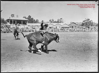CoomaRodeo1946-1
