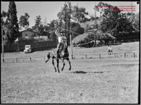 CoomaRodeo1946-12