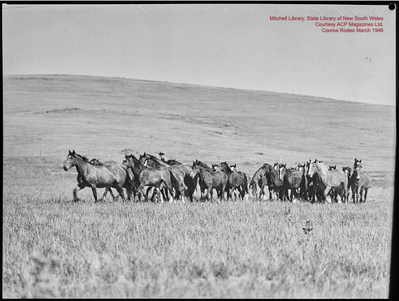 CoomaRodeo1946-18