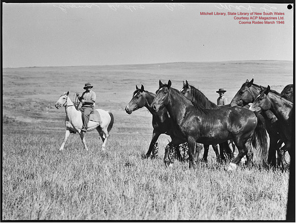 CoomaRodeo1946-32