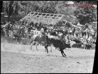 CoomaRodeo1946-7