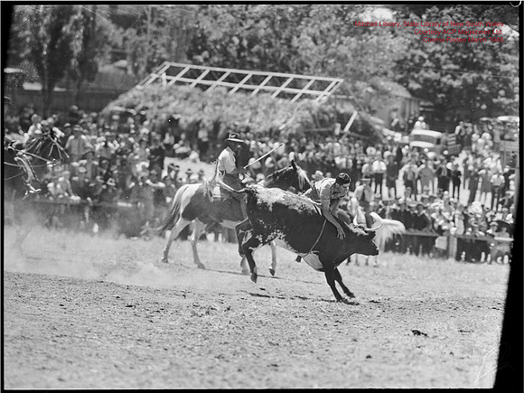 CoomaRodeo1946-7