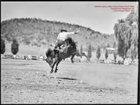 CoomaRodeo1946-2