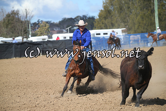 CountyCumberlandCampdraftFri_0142