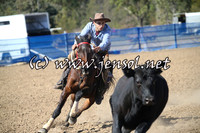 CountyCumberlandCampdraftFri_0023