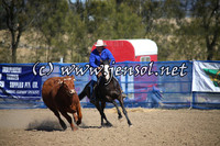CountyCumberlandCampdraftFri_0010