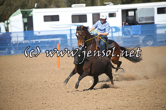 CountyCumberlandCampdraftFri_0162