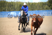 CountyCumberlandCampdraftFri_0006