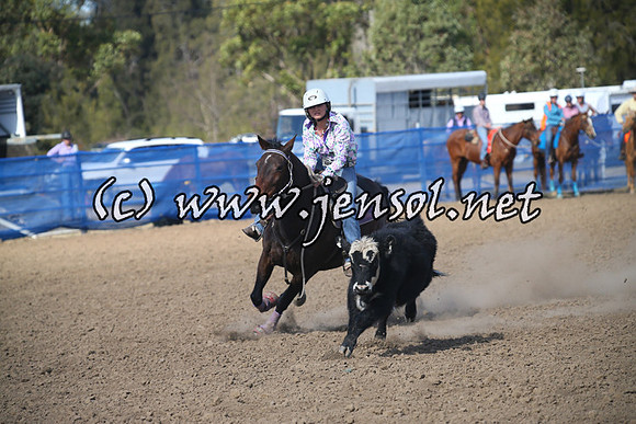 CountyCumberlandCampdraftFri_0302