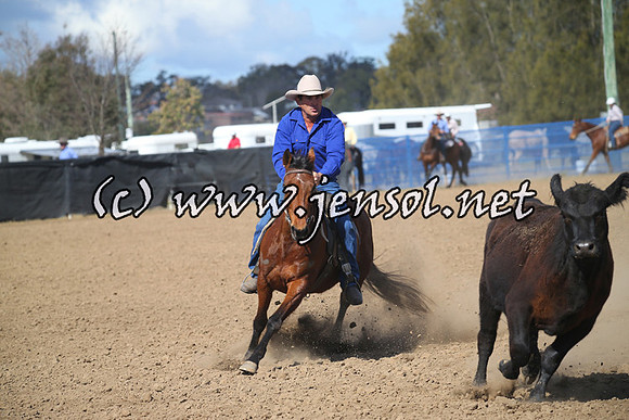 CountyCumberlandCampdraftFri_0143