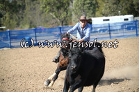 CountyCumberlandCampdraftFri_0020