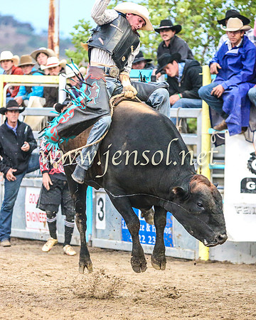 GoulburnRodeo2014_1848