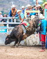 GoulburnRodeo2014_1816