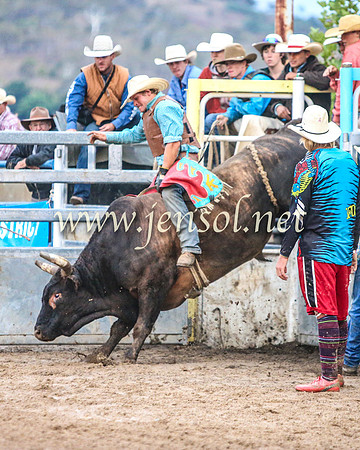 GoulburnRodeo2014_1816