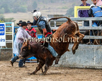 GoulburnRodeo2014_0926