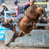 GoulburnRodeo2014_1290