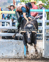 GoulburnRodeo2014_1660