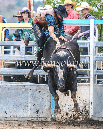GoulburnRodeo2014_1660