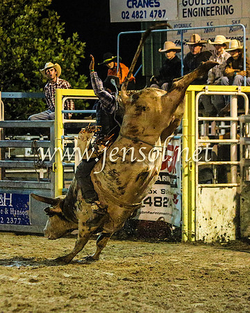 GoulburnRodeo2014_2520