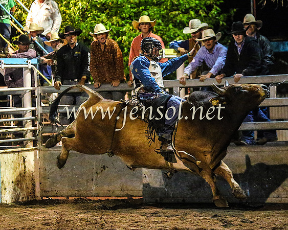 GoulburnRodeo2014_2566