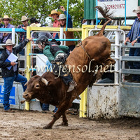 GoulburnRodeo2014_1340