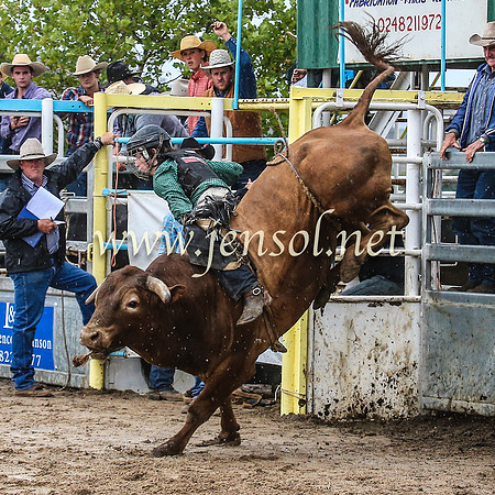 GoulburnRodeo2014_1340