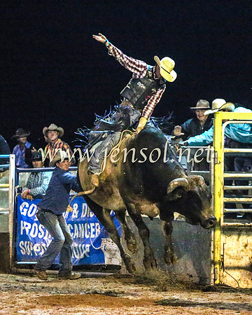 GoulburnRodeo2014_2281