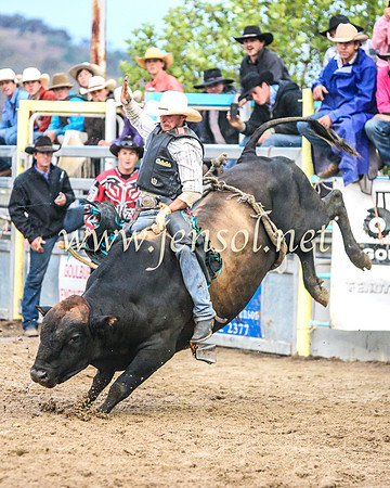GoulburnRodeo2014_1841