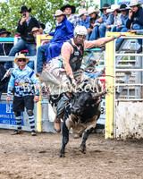 GoulburnRodeo2014_1768
