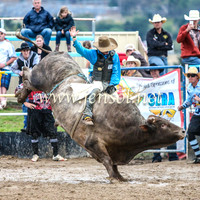 GoulburnRodeo2014_1715
