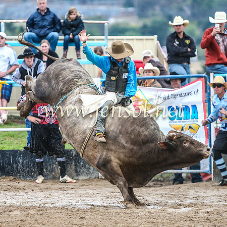 GoulburnRodeo2014_1715