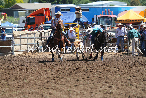 Taralga2015_2231