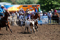 Taralga2015_2220