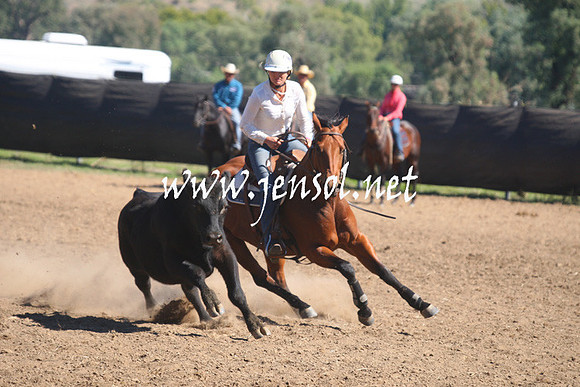 GundagaiGiddyup2013_1D_1519