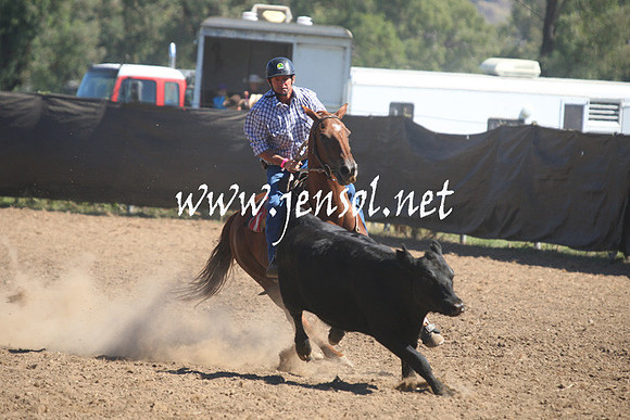 GundagaiGiddyup2013_1D_1711