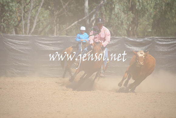 GundagaiGiddyup2013_1D_1699