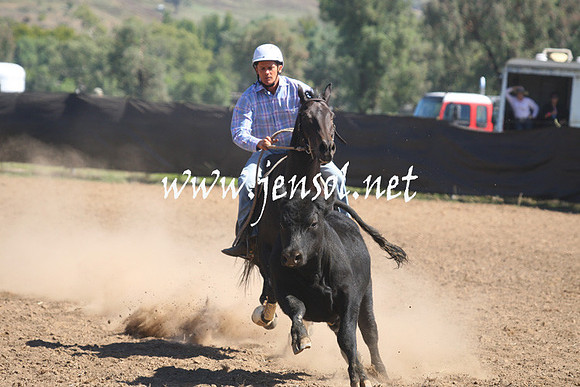 GundagaiGiddyup2013_1D_1791